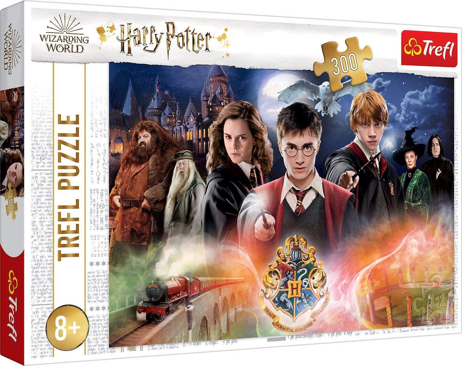 Gotowe puzzle Harry Potter w ramce